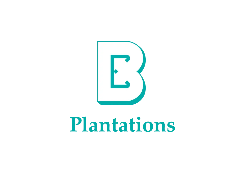 Boustead Plantations developing data and AI capabilities through training programmes by m5 Solutions